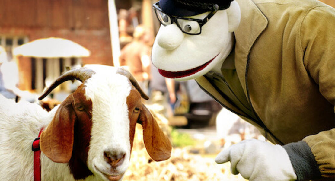 werner-momsen-momsen-tiere-sensationen