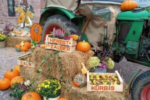 Calwer Herbstzauber - Verkaufsoffener Feiertag
