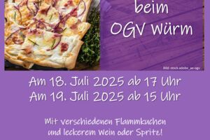 Sommerfest OGV Würm