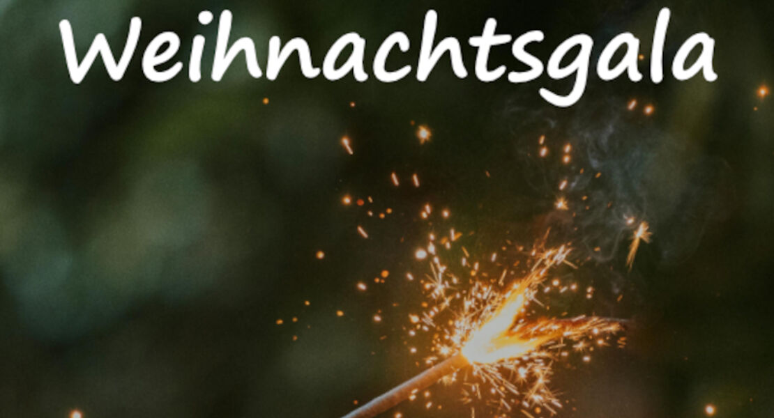 musik-und-kunstschule-landkreis-leipzig-festliche-weihnachtsgala-ii