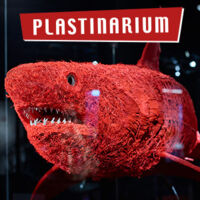 PLASTINARIUM Ticket-Gutscheine