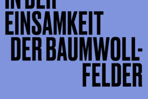 In der Einsamkeit der Baumwollfelder - Bernard-Marie Koltès / 15