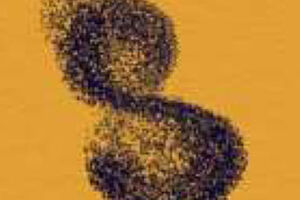 Stegreif - Orchester     feel:free