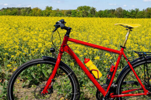 Radtour - Löwen-Tour