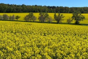 Tag des Wanderns
