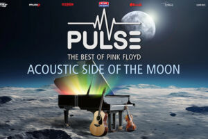 Pulse - Acoustic Side Of The Moon