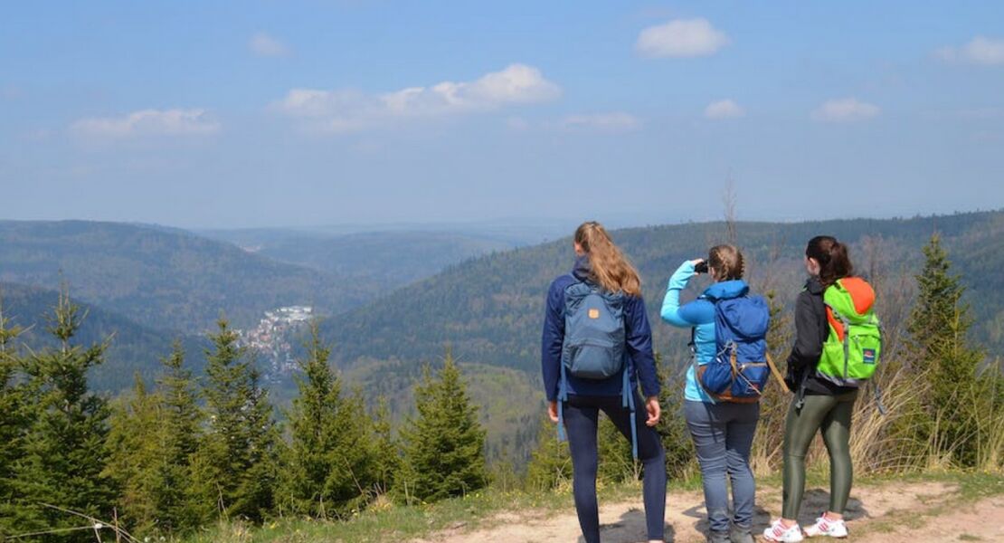 sportliche-wanderung-rotensol-schielberg-bad-herrenalb