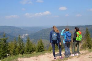 Sportliche Wanderung | Rotensol - Schielberg - Bad Herrenalb