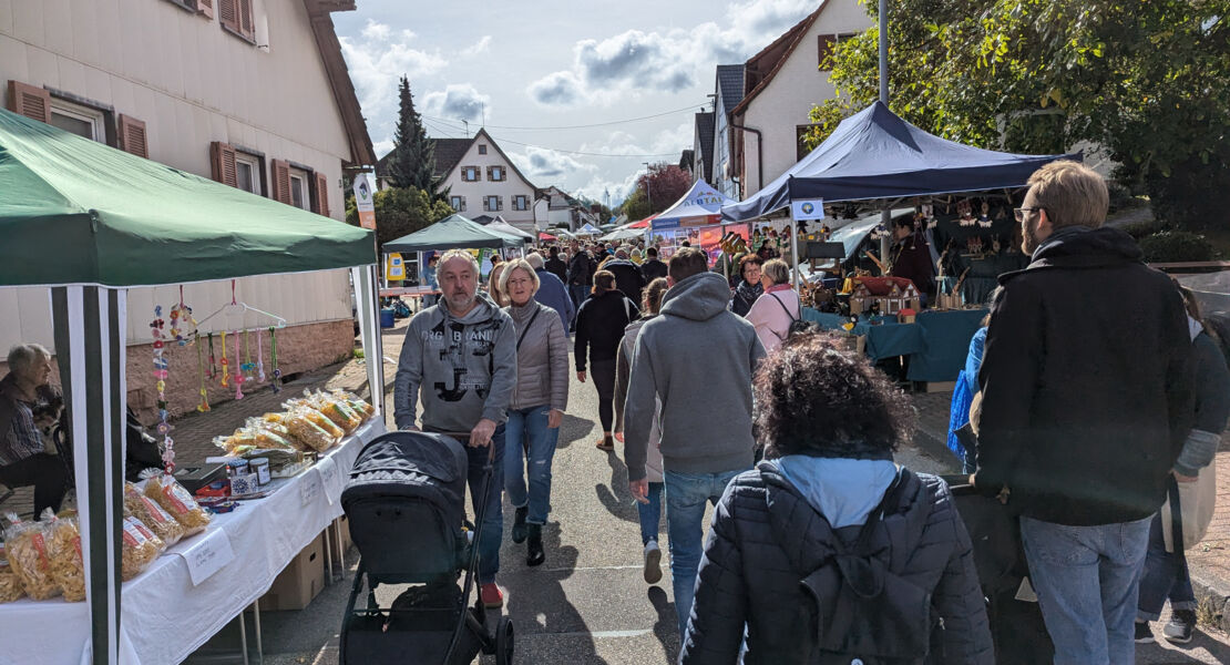 naturpark-markt