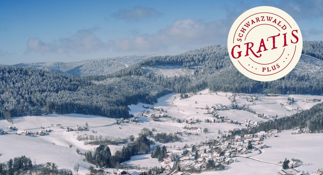 wanderung-im-winterwald-reichenbachtal