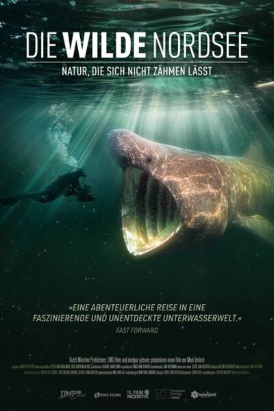 die-wilde-nordsee-natur-die-sich-nicht-zahmen-lasst