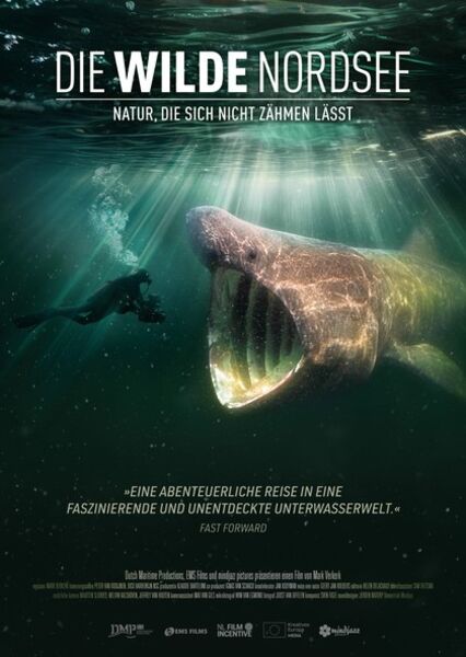 die-wilde-nordsee-natur-die-sich-nicht-zahmen-lasst