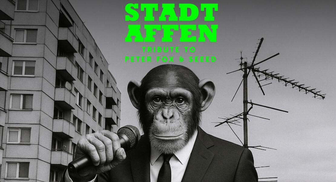 stadtaffen-stadtaffen