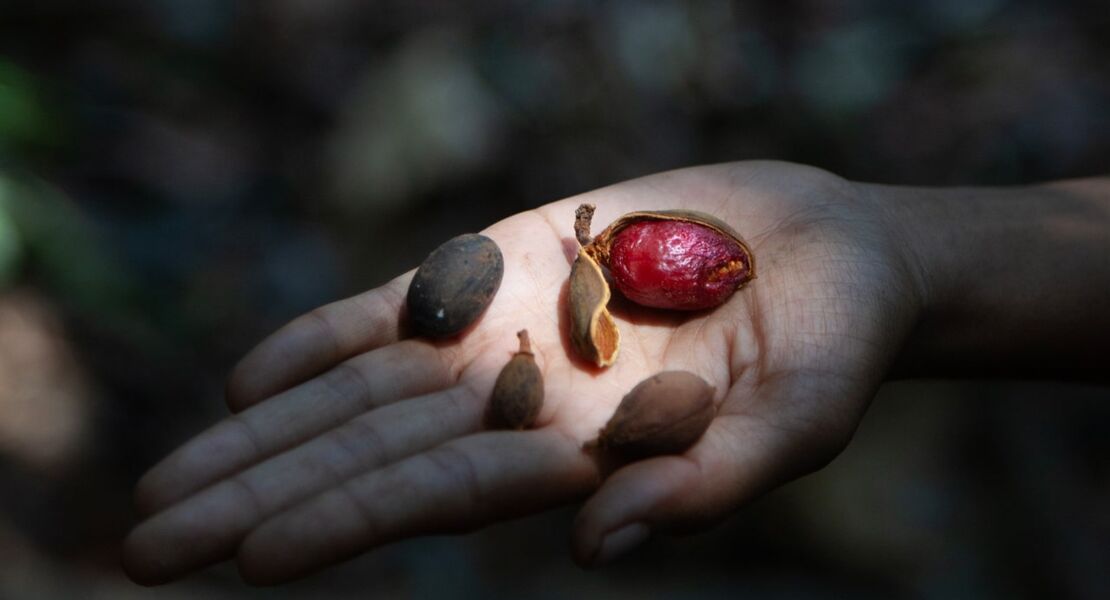 assembling-grounds-praktiken-der-koexistenz