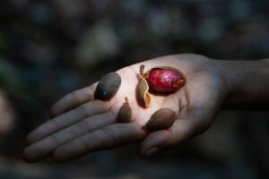 Assembling Grounds. Praktiken der Koexistenz