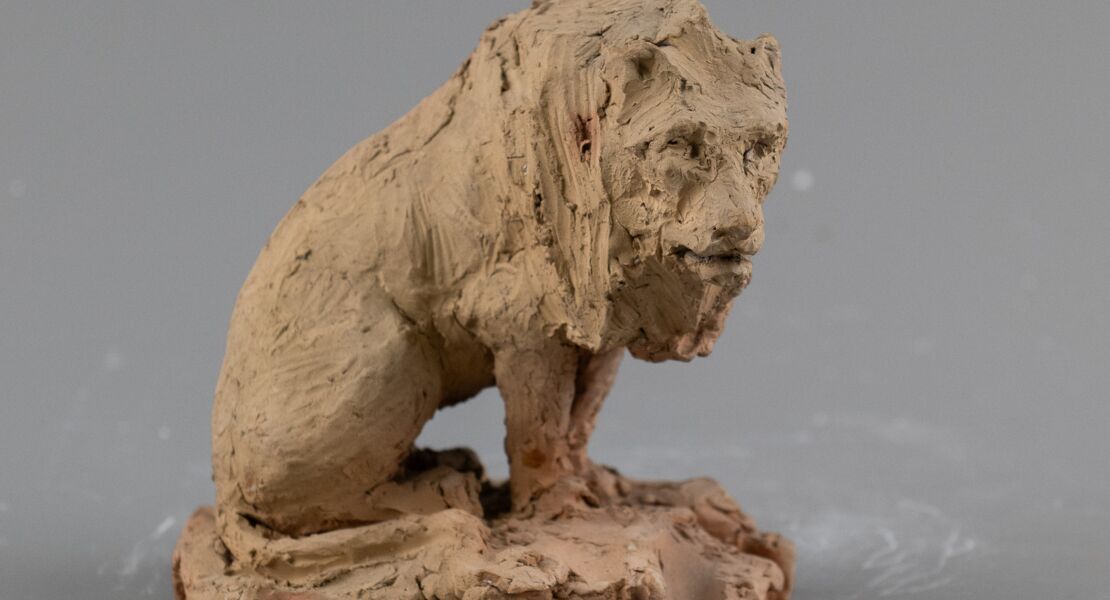 sammlungsparcours-iii-von-artischocke-bis-zebra