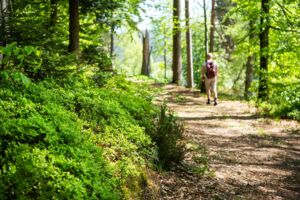 Geführte Wanderung: Heidelbeersommer