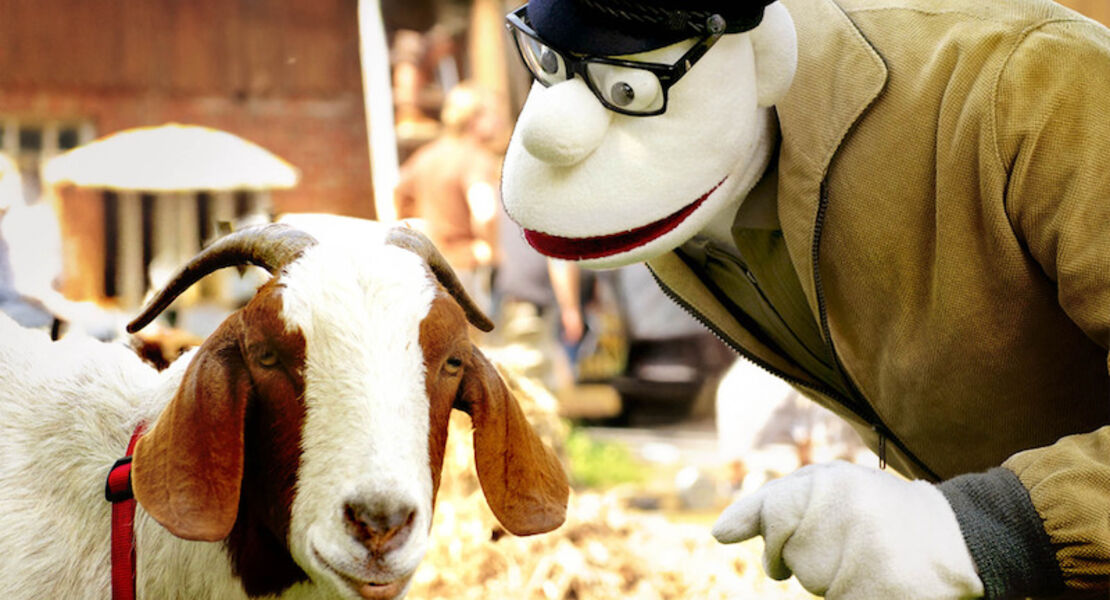 werner-momsen-momsen-tiere-sensationen