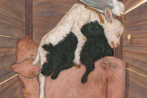 Die Kiste (ab 3 Jahren) - Premiere