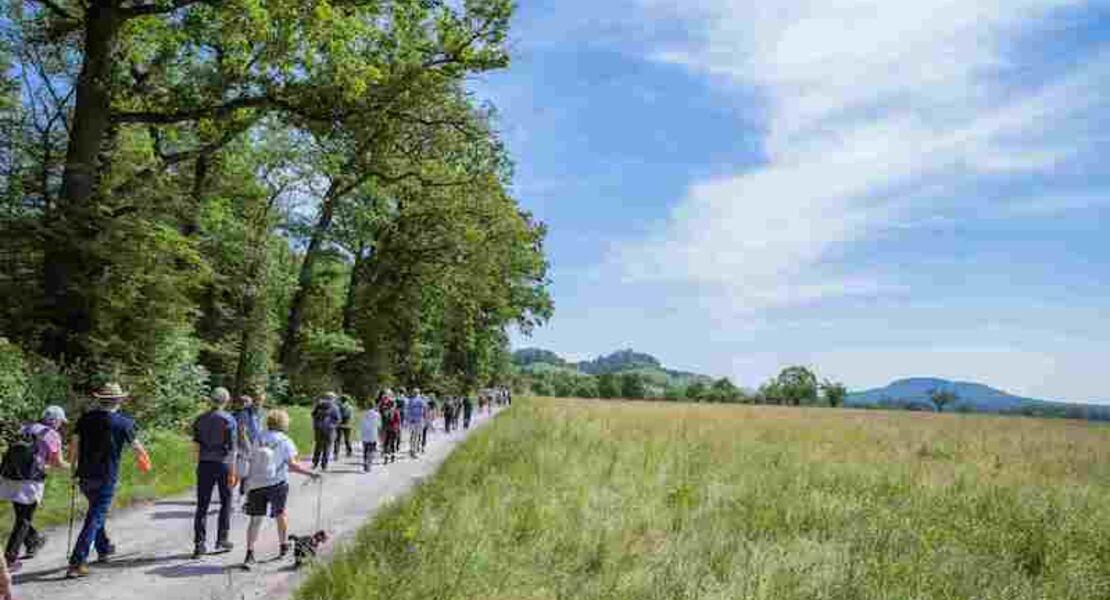 maulbronner-kammerchor-magie-der-verwandlung