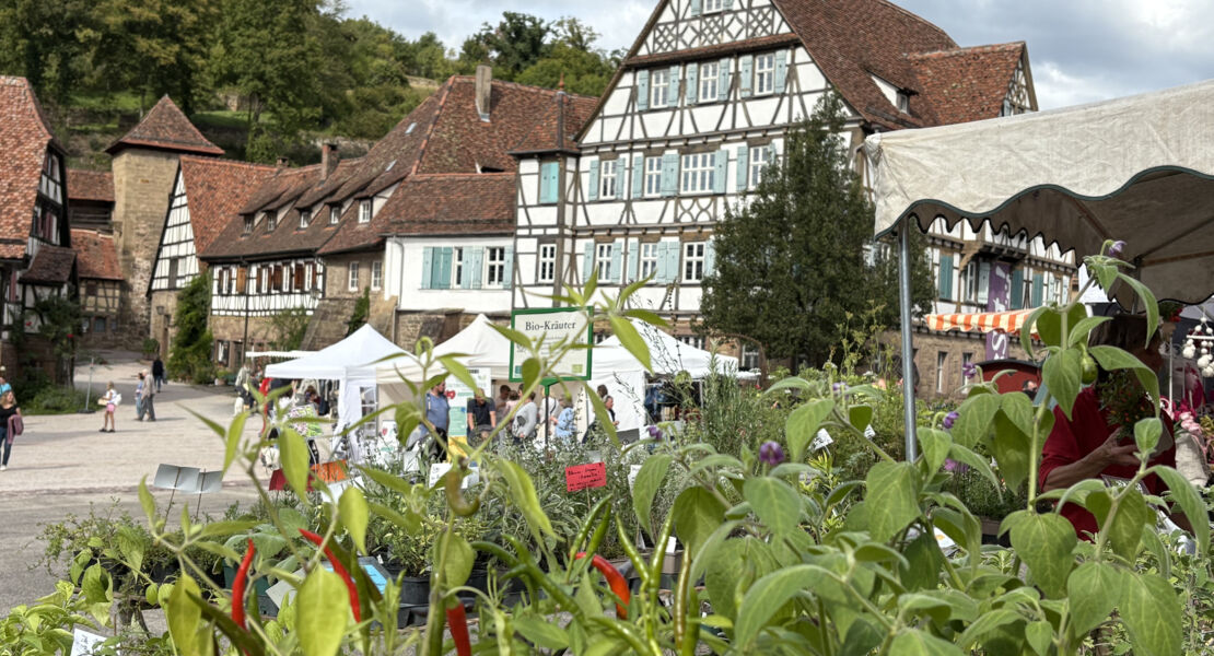 krauter-und-erntemarkt-maulbronn
