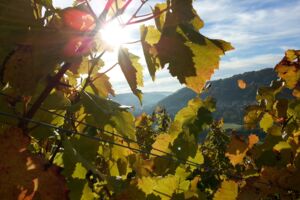 Alpirsbacher Herbstmarkt