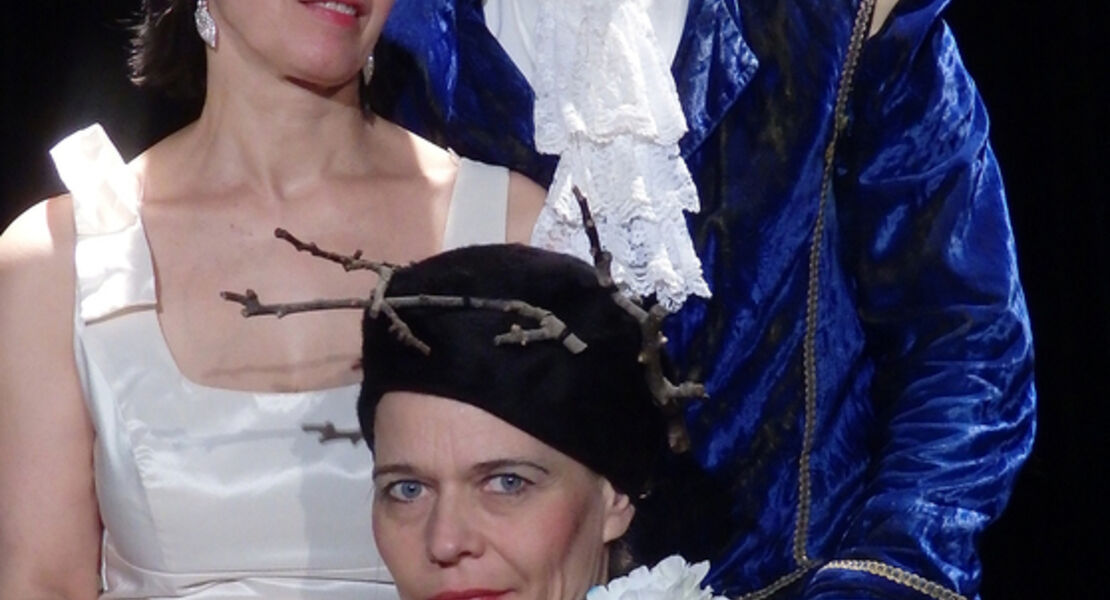 dornroschen-marchentheater-fur-die-ganze-familie-ab-4-jahren
