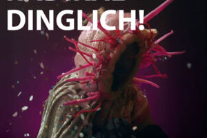 Radikal Dinglich