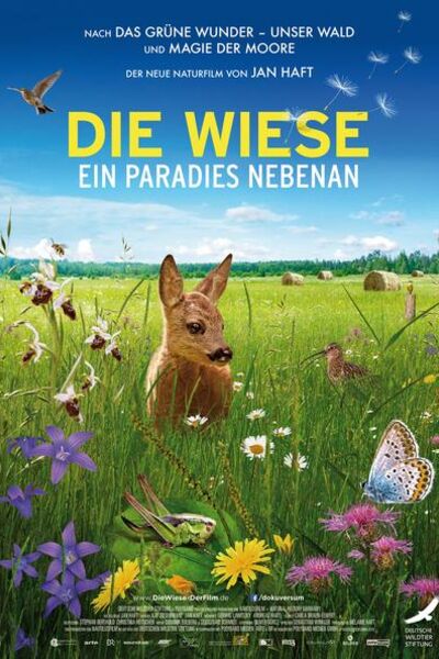 die-wiese-ein-paradies-nebenan