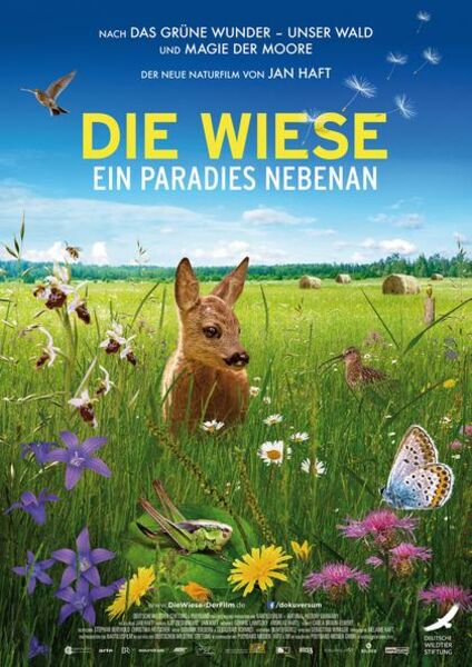 die-wiese-ein-paradies-nebenan