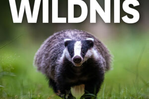 MUNDOLOGIA: Wildnis vor der Haustür 2