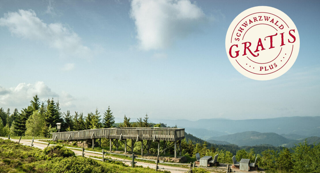 zwischen-murgursprung-und-glaskunst-auf-den-spuren-von-frerdinand-oechsle