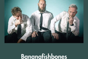Bananafishbones - Have an Easy Tour