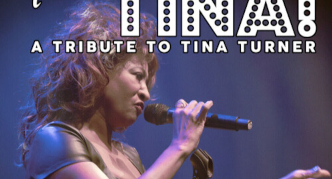 tina-turner-by-this-is-tina-simply-the-best-tribute-to-tina-turner