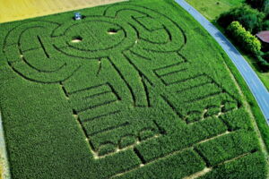 Maislabyrinth Eutingen