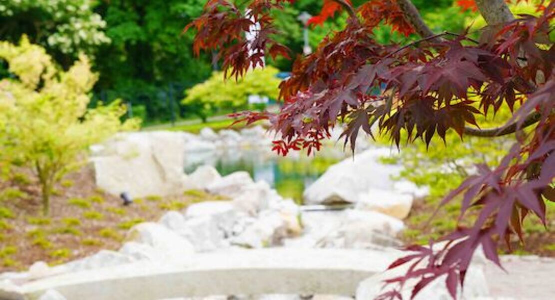 fuhrung-durch-den-japanischen-garten-in-bad-krozingen