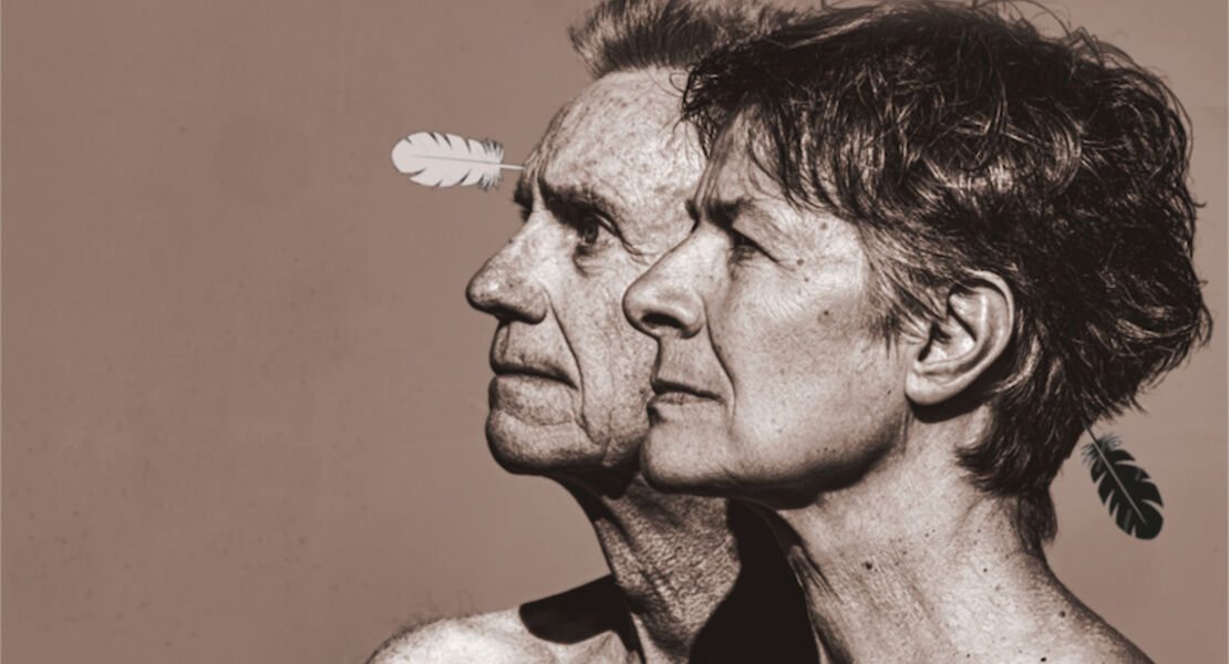 faltsch-wagoni-die-letzten-ironesen