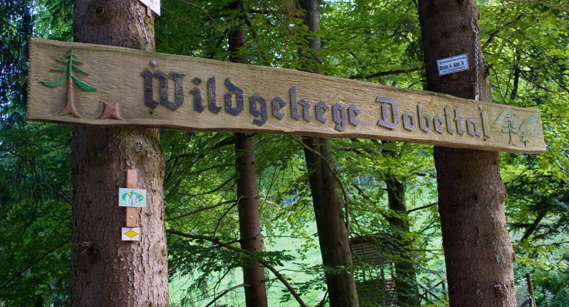 wildtiertour-gefuhrte-tour-im-rahmen-des-wanderopenings-2026