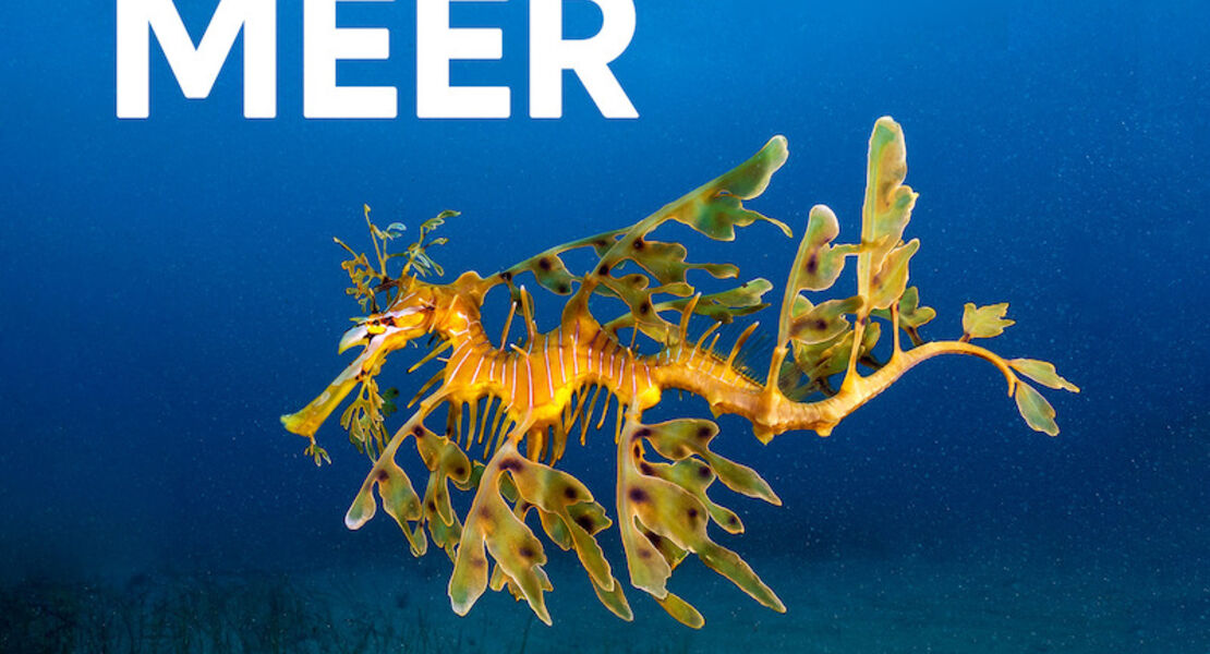 planet-meer-terra-x-live