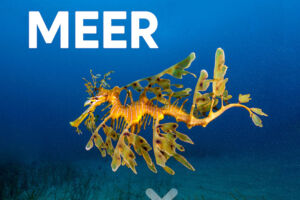 Planet Meer - Terra X Live