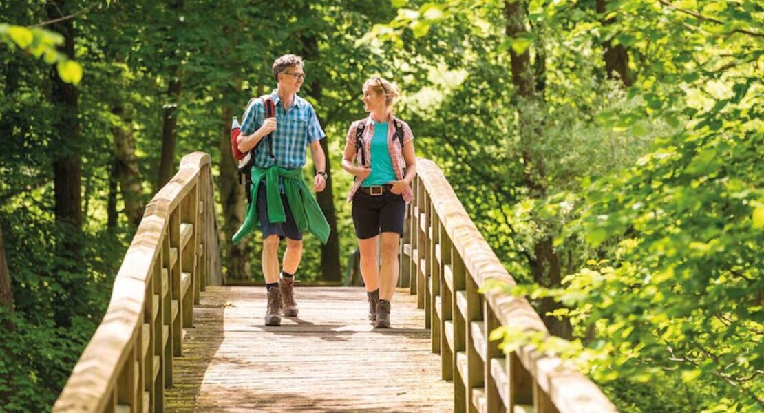 gefuhrte-wanderung-entlang-der-kartoffelfelder-um-bevensen