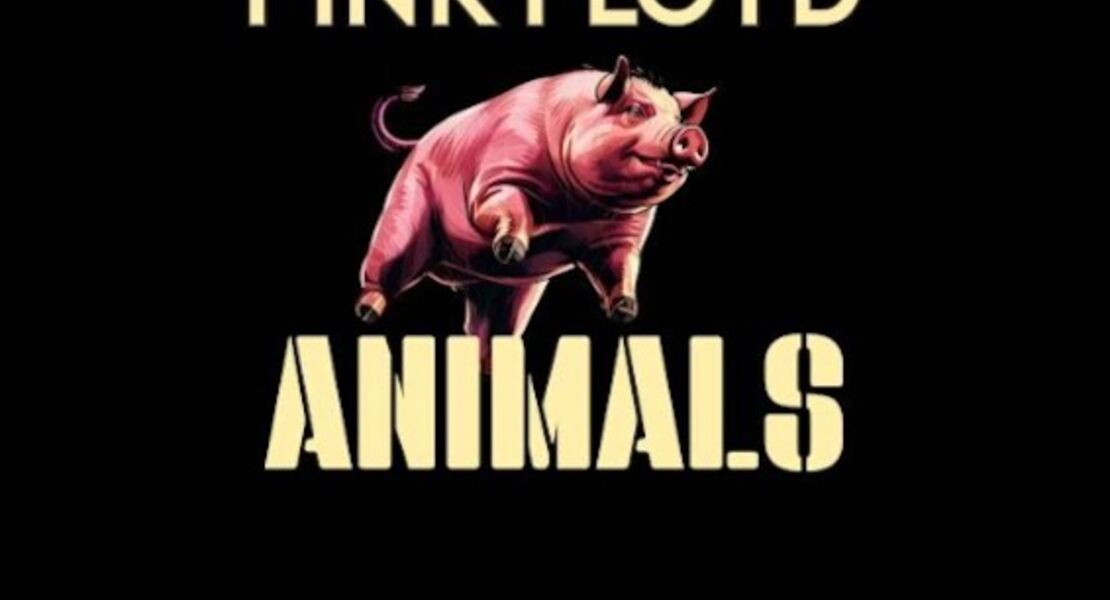 pink-floyd-by-one-of-these-a-celebration-of-pink-floyd