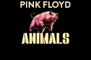 Pink Floyd by One Of These - 