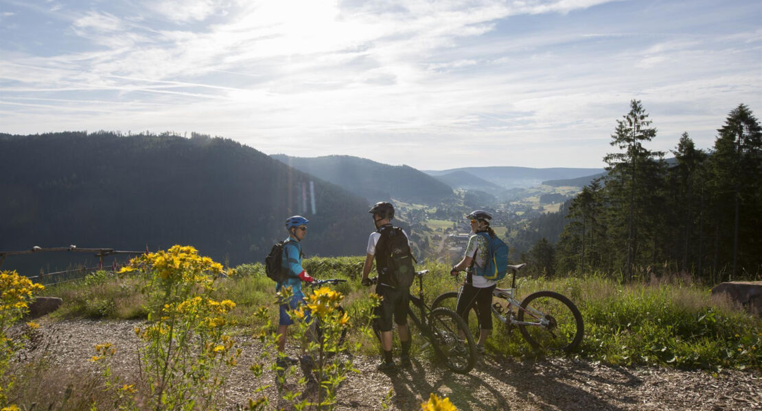 trail-fly
