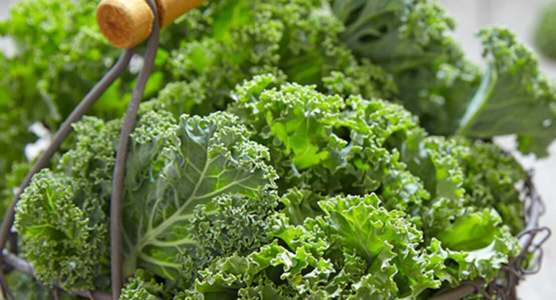 grunkohlfahrt-tageskreuzfahrten-2026-kulinarik