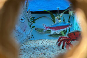 Workshop Schule der Fantasie: 