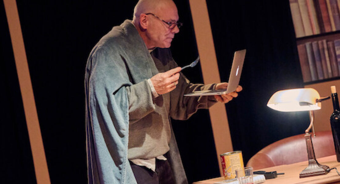 monsieur-pierre-geht-online