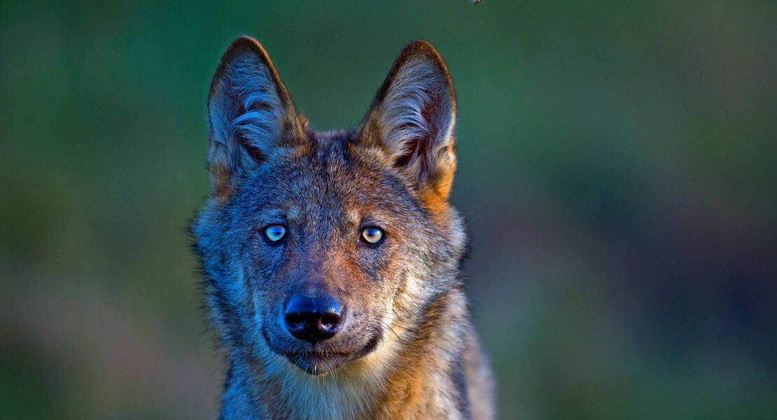 vhsbilderwelten-multivisionshow