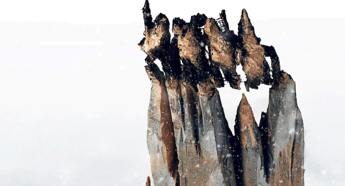 tous-sur-la-banquise-premiere