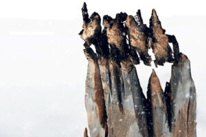 Tous sur la banquise - Premiere